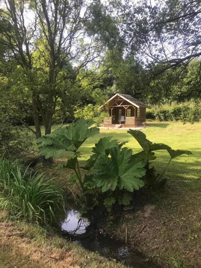 La Paix, Gite Bucolique En Normandie Condé-sur-Noireau Eksteriør billede