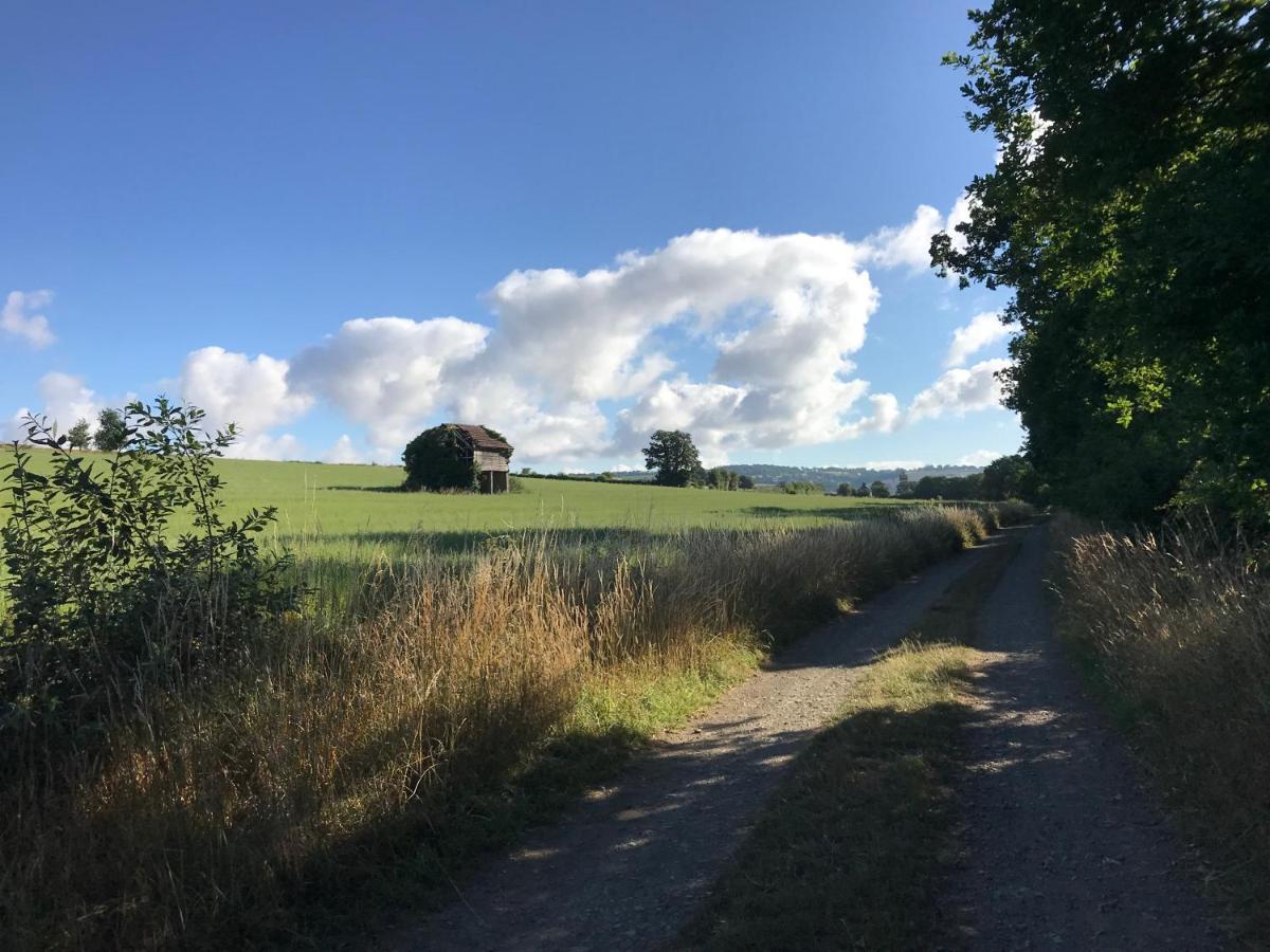 La Paix, Gite Bucolique En Normandie Condé-sur-Noireau Eksteriør billede